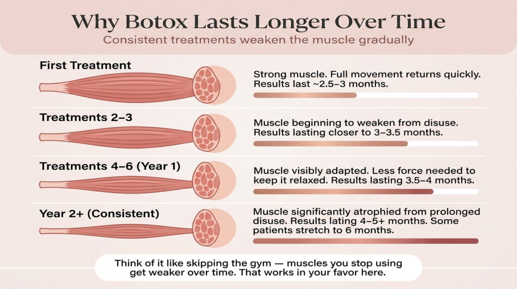How repeated Botox extends results